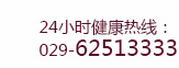 010-56943999